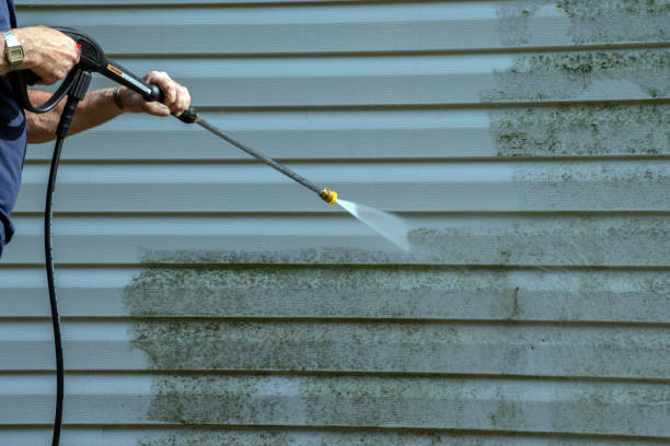 Best Driveway Pressure Washing  in Somerset, MD